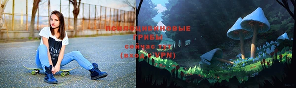 ПСИЛОЦИБИНОВЫЕ ГРИБЫ Абдулино