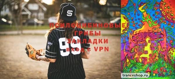 ПСИЛОЦИБИНОВЫЕ ГРИБЫ Абдулино
