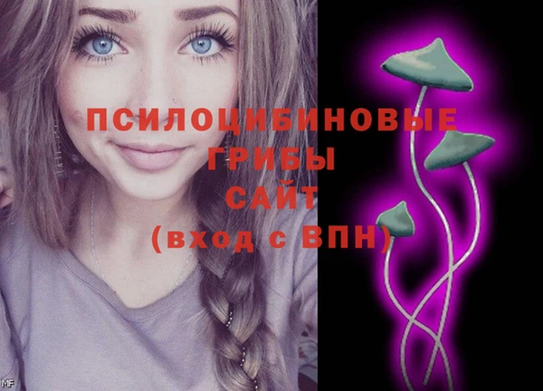гидропоника Абаза
