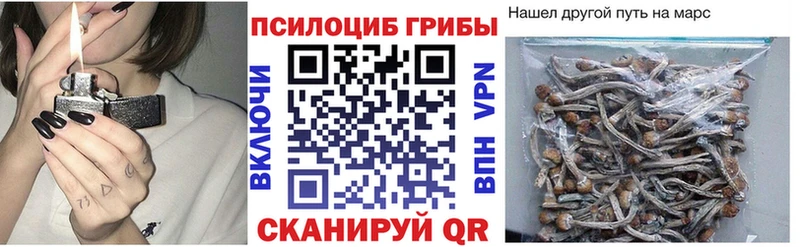 Псилоцибиновые грибы MAGIC MUSHROOMS  Беломорск 